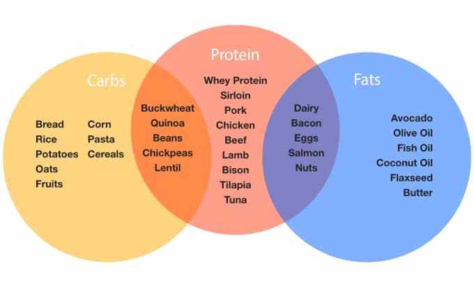 macronutrients